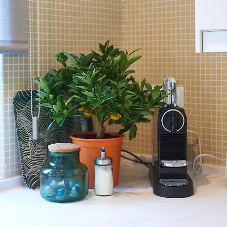 Casa Da Clementina - A Serene Garden Ferienhaus