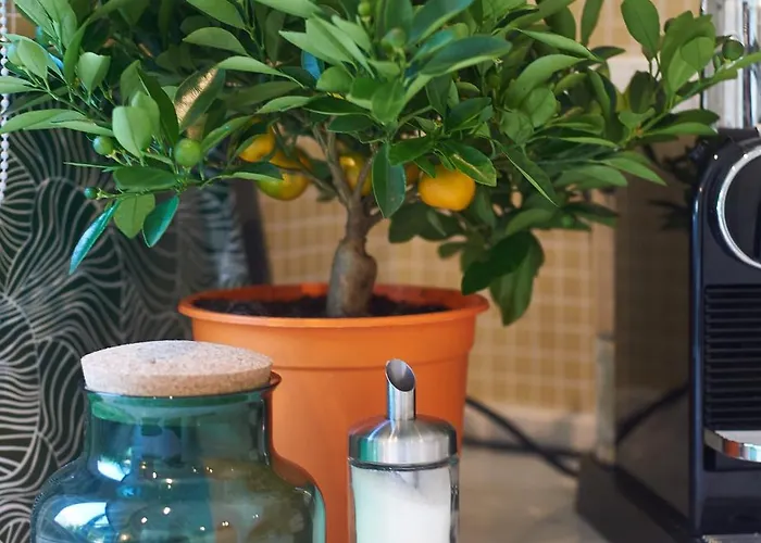 別荘 Casa Da Clementina - A Serene Garden